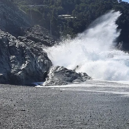 Il Vicoletto La Spezia